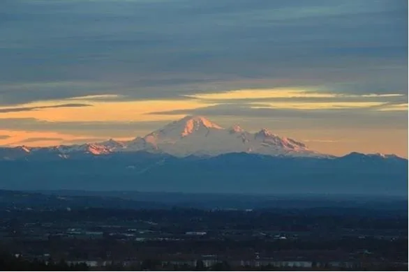 38 1751 PADDOCK DRIVE - photo 1 of 25