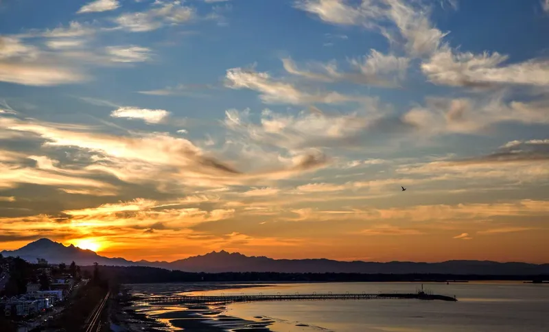 14495 MARINE DRIVE - photo 1 of 25