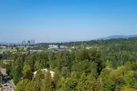 1907 9868 CAMERON STREET - thumbnail 2
