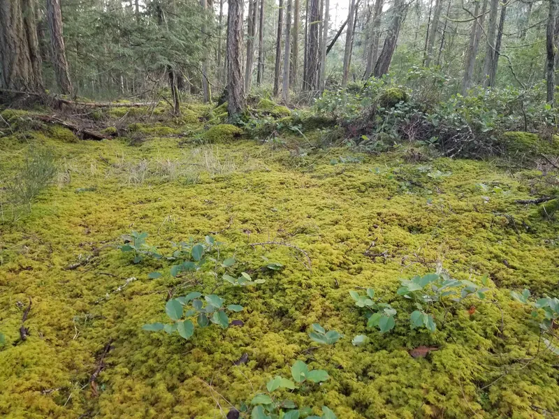 118 BURRILL ROAD - photo 2 of 18