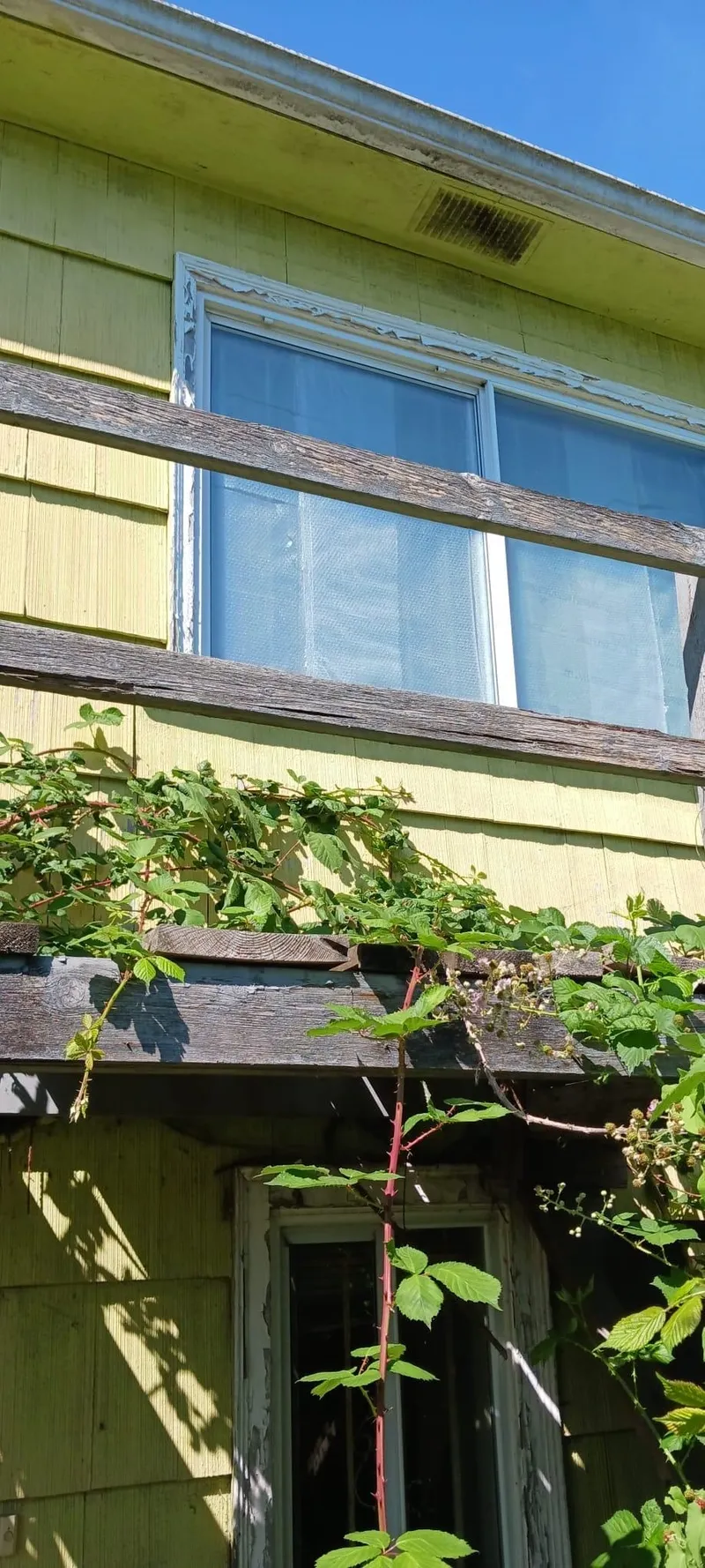 1824 E 11TH AVENUE - photo 2 of 4