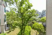 221 19528 FRASER HIGHWAY - thumbnail 15