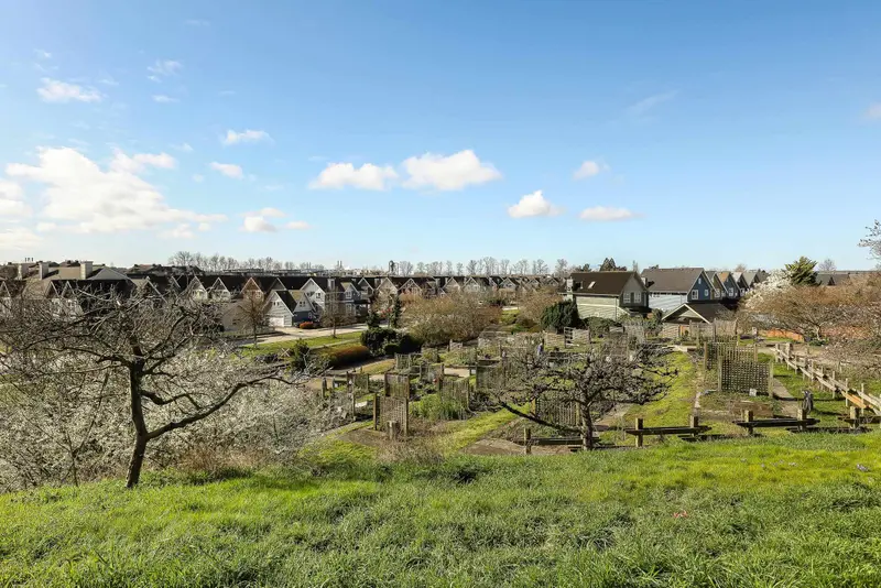 107 STAR CRESCENT - photo 4 of 25