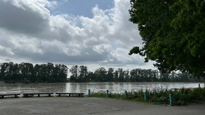 310 8495 JELLICOE STREET - photo 2 of 23