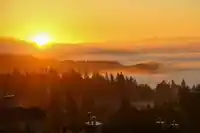 63 2979 PANORAMA DRIVE - thumbnail 29
