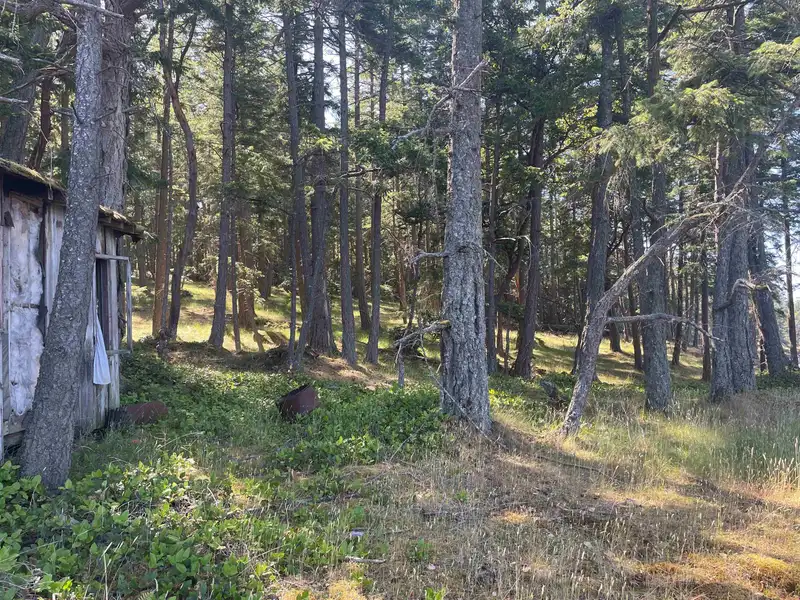 LOT 2 VALDES ISLAND - photo 2 of 36