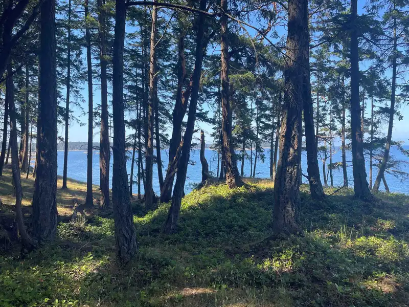 LOT 2 VALDES ISLAND - photo 4 of 36