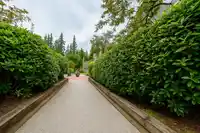 56 65 FOXWOOD DRIVE - thumbnail 28