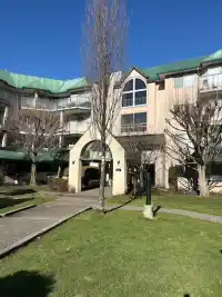 103 2964 TRETHEWEY STREET - thumbnail 1