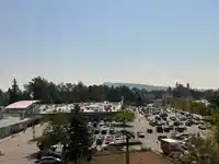 508 11865 227 STREET - thumbnail 34