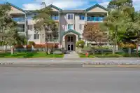 409 20443 53 AVENUE - thumbnail 2