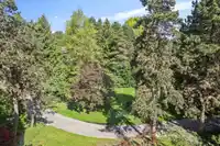506 2101 MCMULLEN AVENUE - thumbnail 19