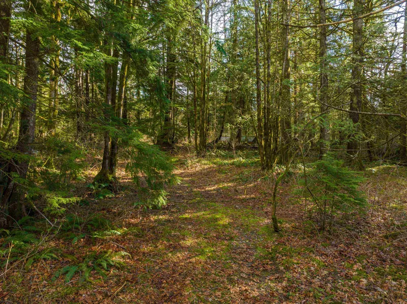 36161 RIDGEVIEW ROAD - photo 2 of 25