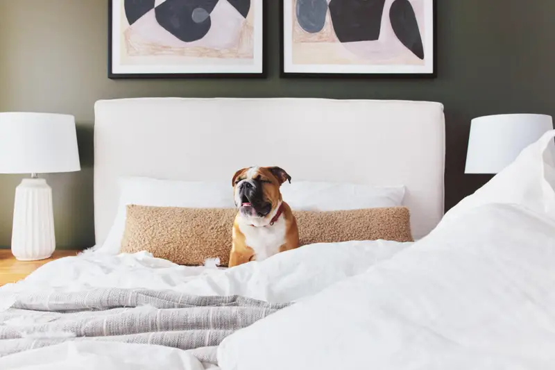 304 13668 79 AVENUE - photo 4 of 4