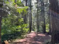18 19743 FOSTER ROAD - thumbnail 19