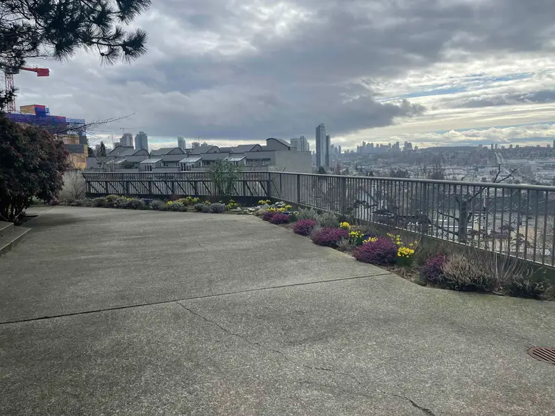 206 3760 ALBERT STREET - photo 4 of 19