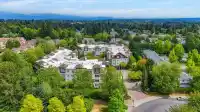 404 10186 155 STREET - thumbnail 30