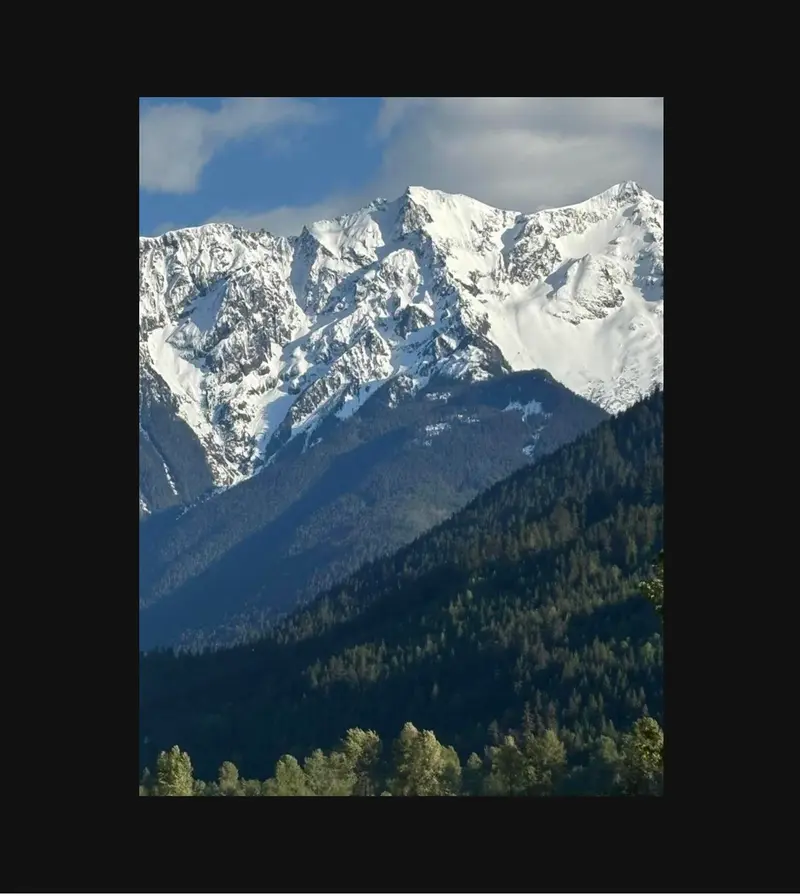 8687 PEMBERTON MEADOWS - photo 4 of 25