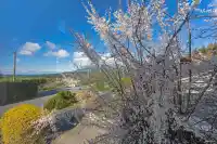 670 MONTROYAL BOULEVARD - thumbnail 15