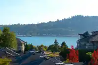 501 3602 ALDERCREST DRIVE - thumbnail 18