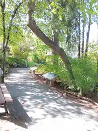 61 2588 152 STREET - thumbnail 28