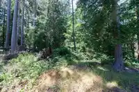 508 AYA REACH ROAD - thumbnail 26