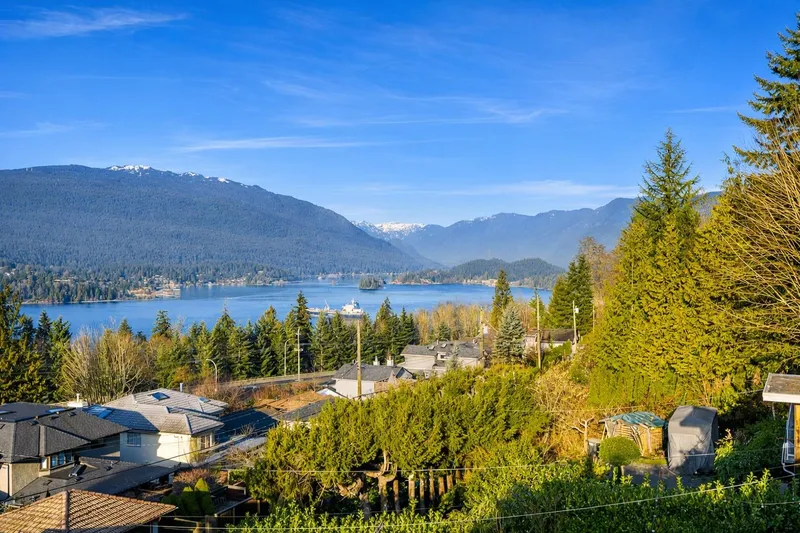 7329 BRAESIDE DRIVE - photo 3 of 25