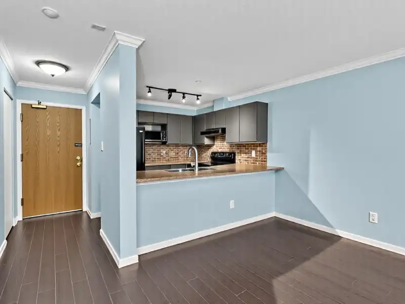 307 1219 JOHNSON STREET - photo 4 of 29