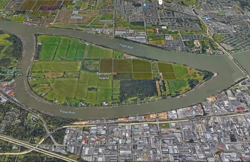 148 CENTRE ROAD - photo 4 of 5