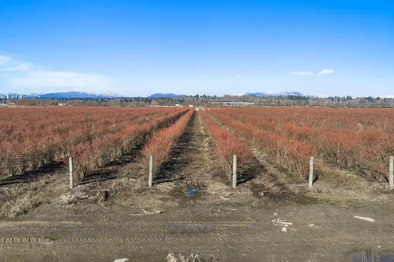 15683 64 AVENUE - photo 3 of 25