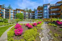 505 14855 THRIFT AVENUE - thumbnail 1
