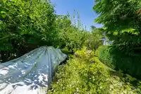 46054 THIRD AVENUE - thumbnail 23