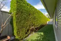 58 17516 4TH AVENUE - thumbnail 33