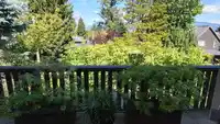 456 AUBREY PLACE - thumbnail 35