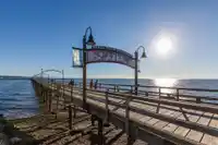 301 1561 VIDAL STREET - thumbnail 15