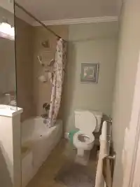 313 1448 FIR STREET - thumbnail 12