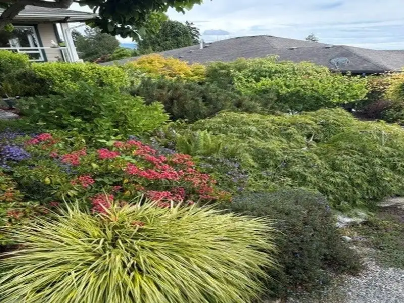 6252 BAILLIE ROAD - photo 3 of 29