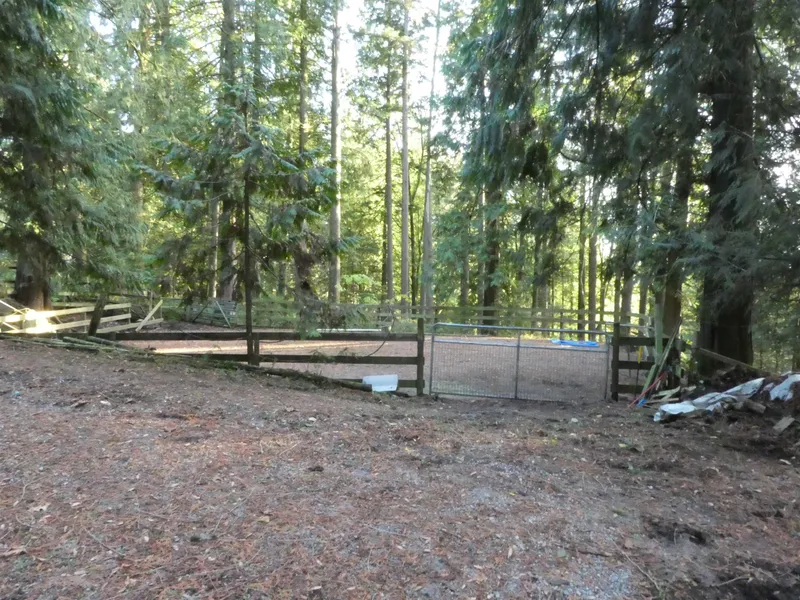 14042 232 STREET - photo 3 of 19