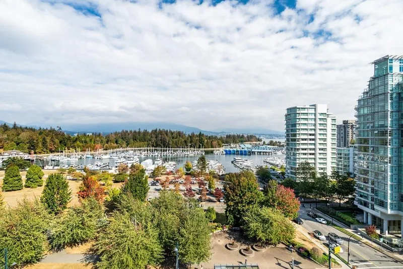 1101 1863 ALBERNI STREET - photo 2 of 25