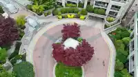 301a 301 MAUDE ROAD - thumbnail 4
