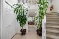 18656 64A AVENUE - thumbnail 3