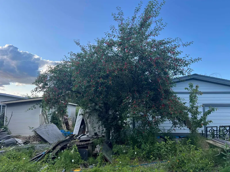 12473 114 AVENUE - photo 3 of 13