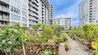 1007 8333 SWEET AVENUE - thumbnail 25