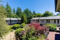 107 5622 16 AVENUE - thumbnail 24