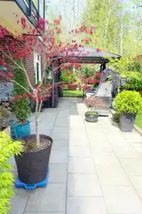 103 11566 224 STREET - thumbnail 16
