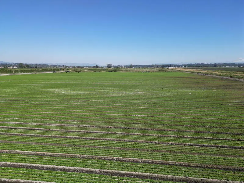 4444 168 STREET - photo 3 of 16