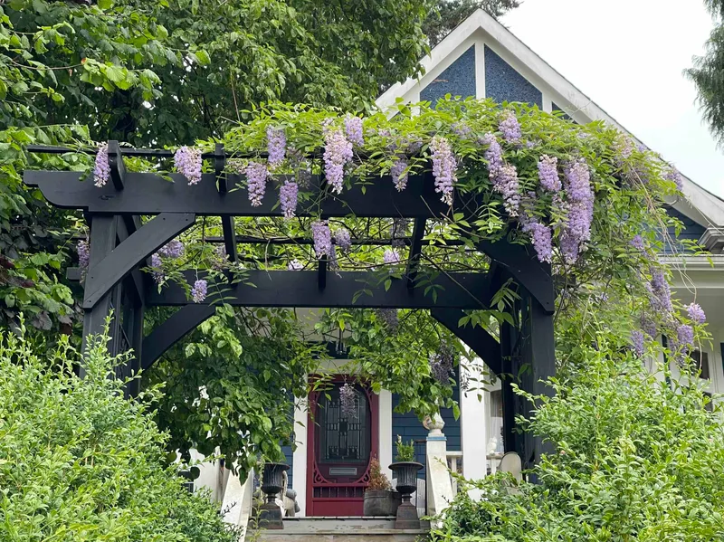 2201 ST GEORGE STREET - photo 4 of 25