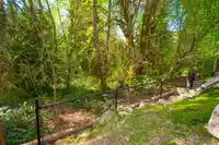 13257 239B STREET - thumbnail 34