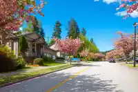 13257 239B STREET - thumbnail 35