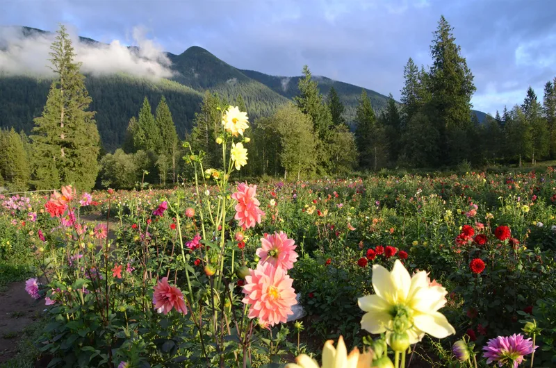 13842 SPRATT ROAD - photo 4 of 25